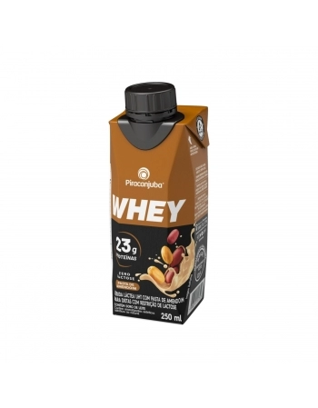 WHEY 23G AMENDOIM 250ML