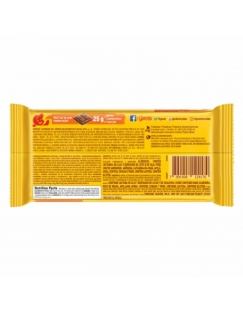 BARRA DE CHOCOLATE GAROTO CASTANHA DE CAJU 16X80G